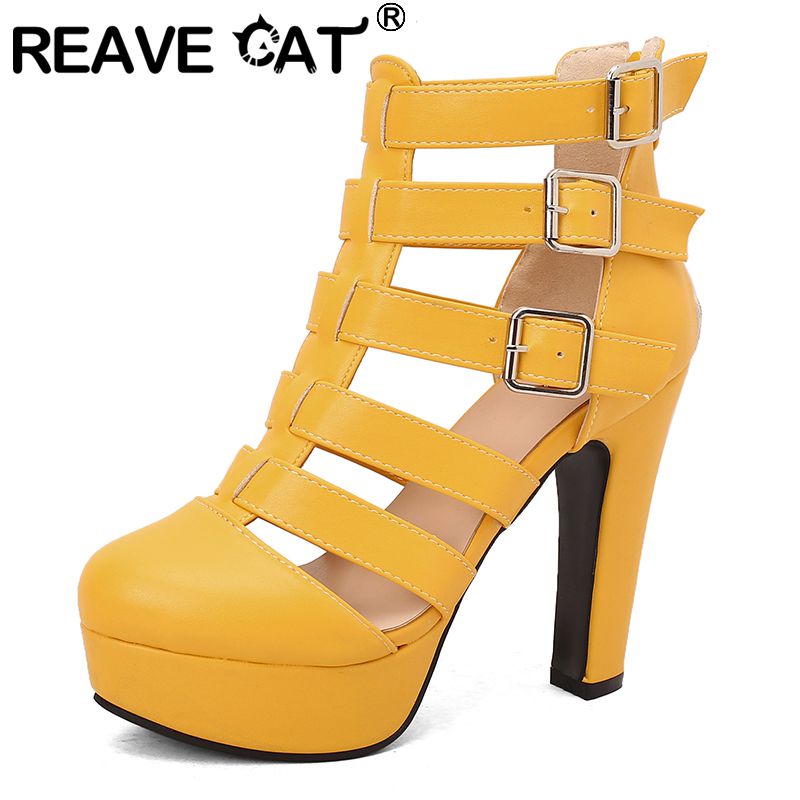REAVE CAT Luxury Female Sandal - Women'S Fashion Belts review and price